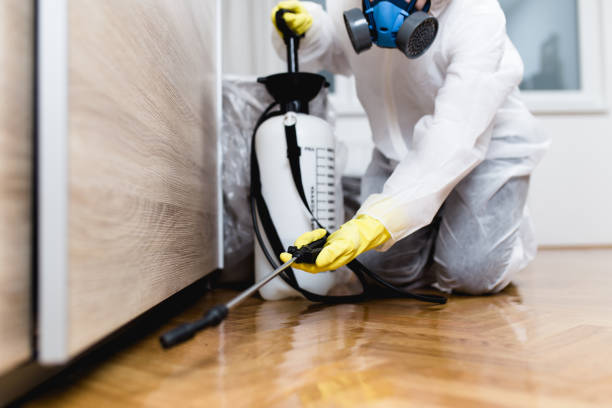 Best Mosquito Control Services  in Livingston, LA