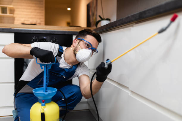 Best Affordable Pest Control Services  in Livingston, LA