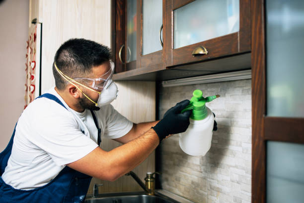 Best Affordable Pest Control Services  in Livingston, LA