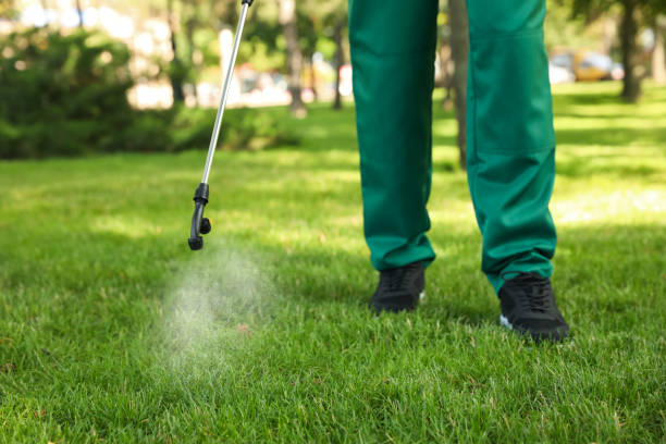 Best Bed Bug Extermination  in Livingston, LA