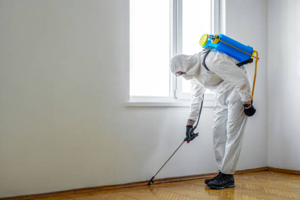 Best Pest Inspection Near Me  in Livingston, LA