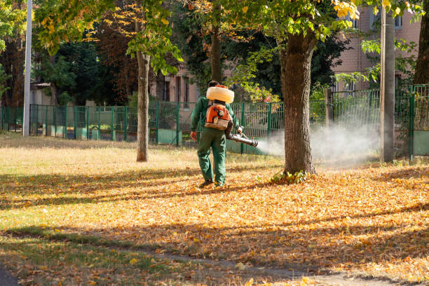Insect Control in Livingston, LA