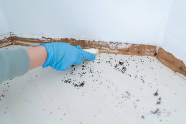 Best Residential Pest Control  in Livingston, LA